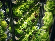 AI垂直农场AeroFarms申请破产